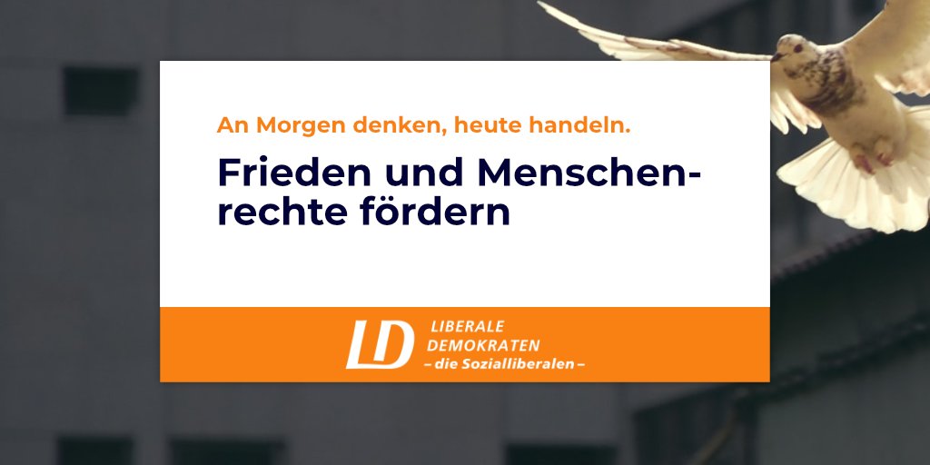 sozialliberale's tweet photo. Deutschland und Europa müssen zu internationalen Kämpfern für die Menschenrechte und für den Frieden werden. Alle profitieren davon, wenn auf der Welt Frieden und Wohlstand herrscht.
#heuteHandeln #sozialliberal https://t.co/1eGjZDCrqi