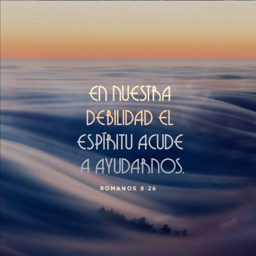 "En nuestra debilidad el Espíritu acude a ayudarnos"
A veces sentimos la necesidad de hablar con Dios pero no sabemos cómo expresarnos. Dejemos q el Espíritu q habita en nosotros sea el q hable a veces. Dios te conoce y sabe lo que necesitas, confía en Él y déjalo actuar🙏🏼