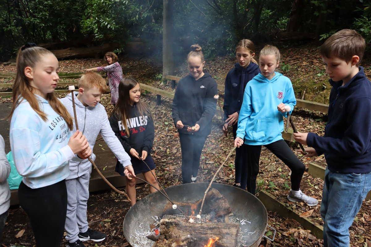 Dunottar School tweet media