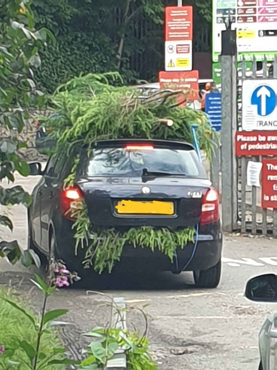 ali_0502's tweet photo. Skoda Fabia's are notorious herbivores. I saw one earlier enjoying its lunch. 
#Skoda #herbivore #recycling #needsabiggercar https://t.co/yOpF6KEDs1