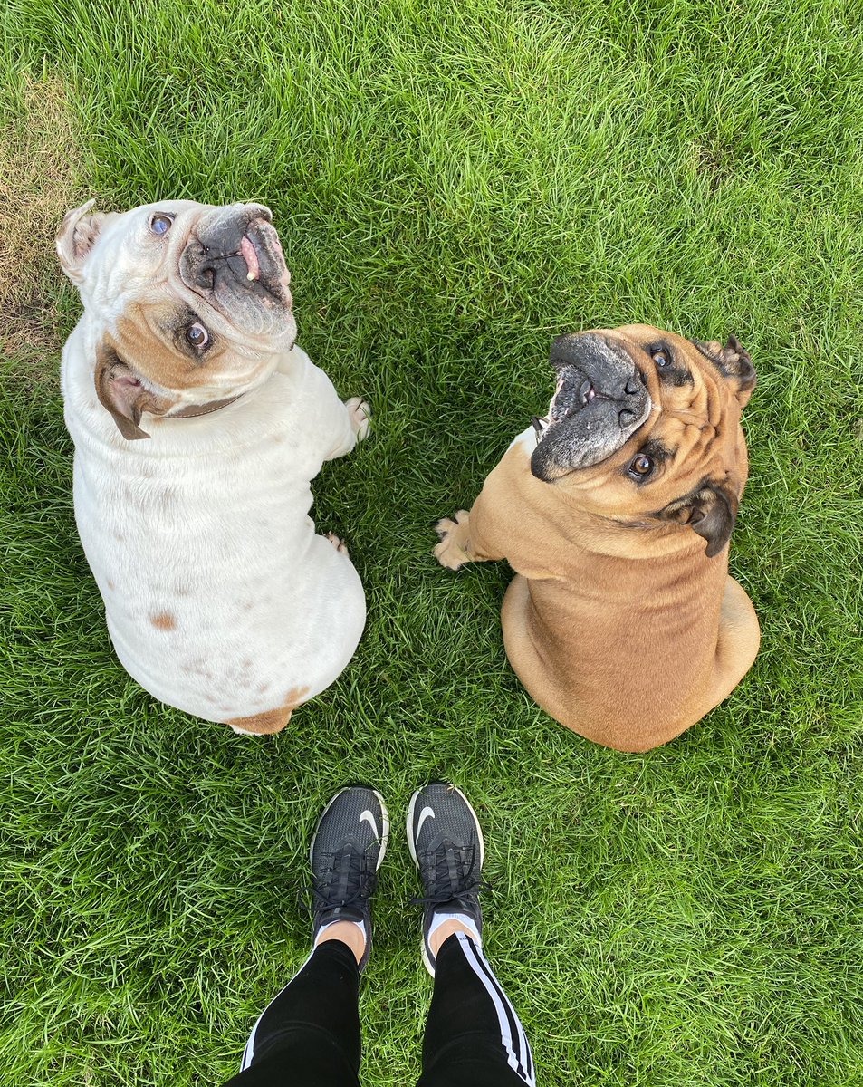 PotterFay1's tweet photo. No chance of a post run stretch with these two about #SupportTeam https://t.co/Lwmf5phkvz