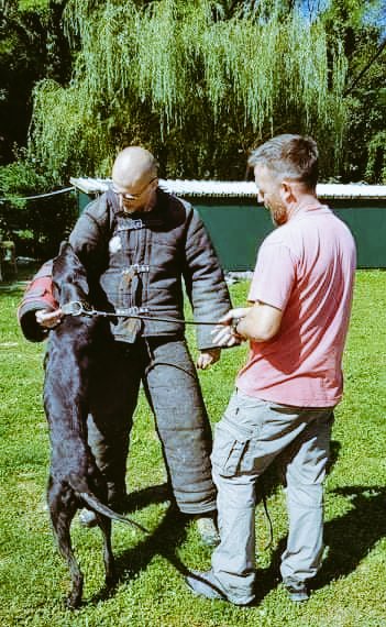 IvanMazar's tweet photo. Wade od Moslavine bite...  trening mondioring
.
.
.
#dutchshepherd #hollandherder #mondioring #workingdogs https://t.co/pILfGJ13aG