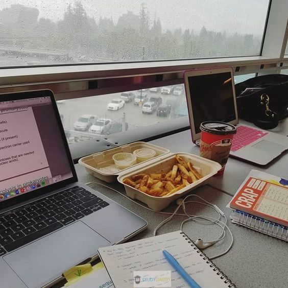 23. what& #39;s your favorite fast food chain?