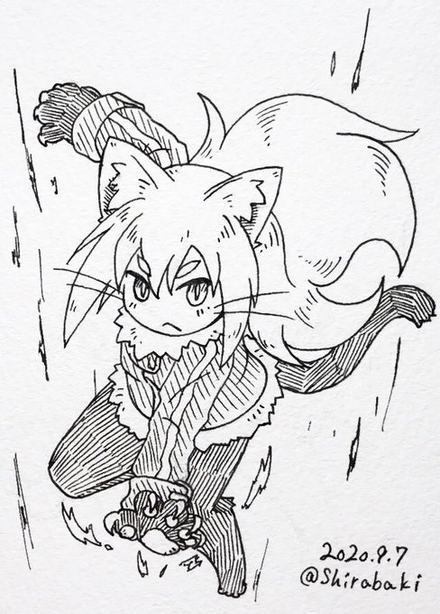 #ネコネイビー 
アナログリハビリ。ネコ人間のユージン。
ボム撃ったときのカットインが時々ユルッユルな絵柄になるの可愛い? 