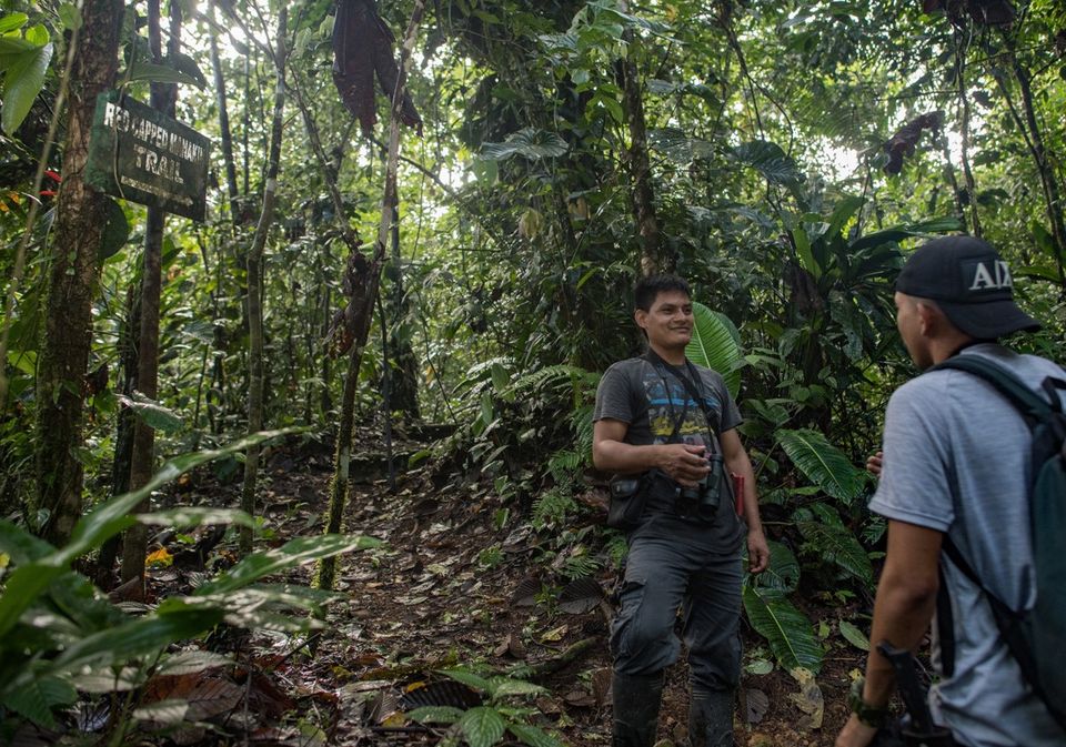 jocotoco_org's tweet photo. 1/2 Park ranger José Añapa protects the Chocó forest! Surrounded by pristine nature and bird sounds, while being observed by unseen wildlife, he walks on trails, places trap cameras and monitors the reserve to prevent illegal activities like logging and hunting.
#SaveTheChoco https://t.co/4m0quom7CF