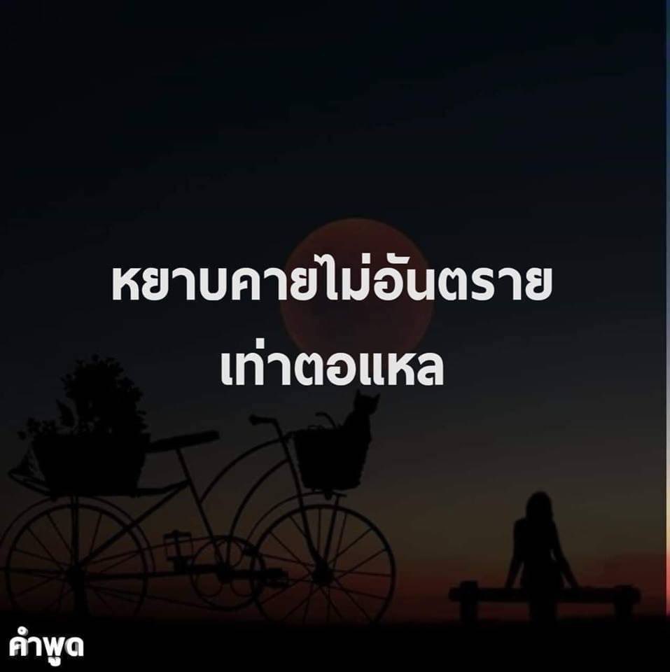 bunny (@bunny41055157) on Twitter photo 