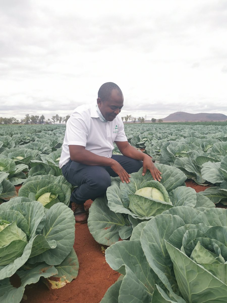 Silas Mutota tweet media