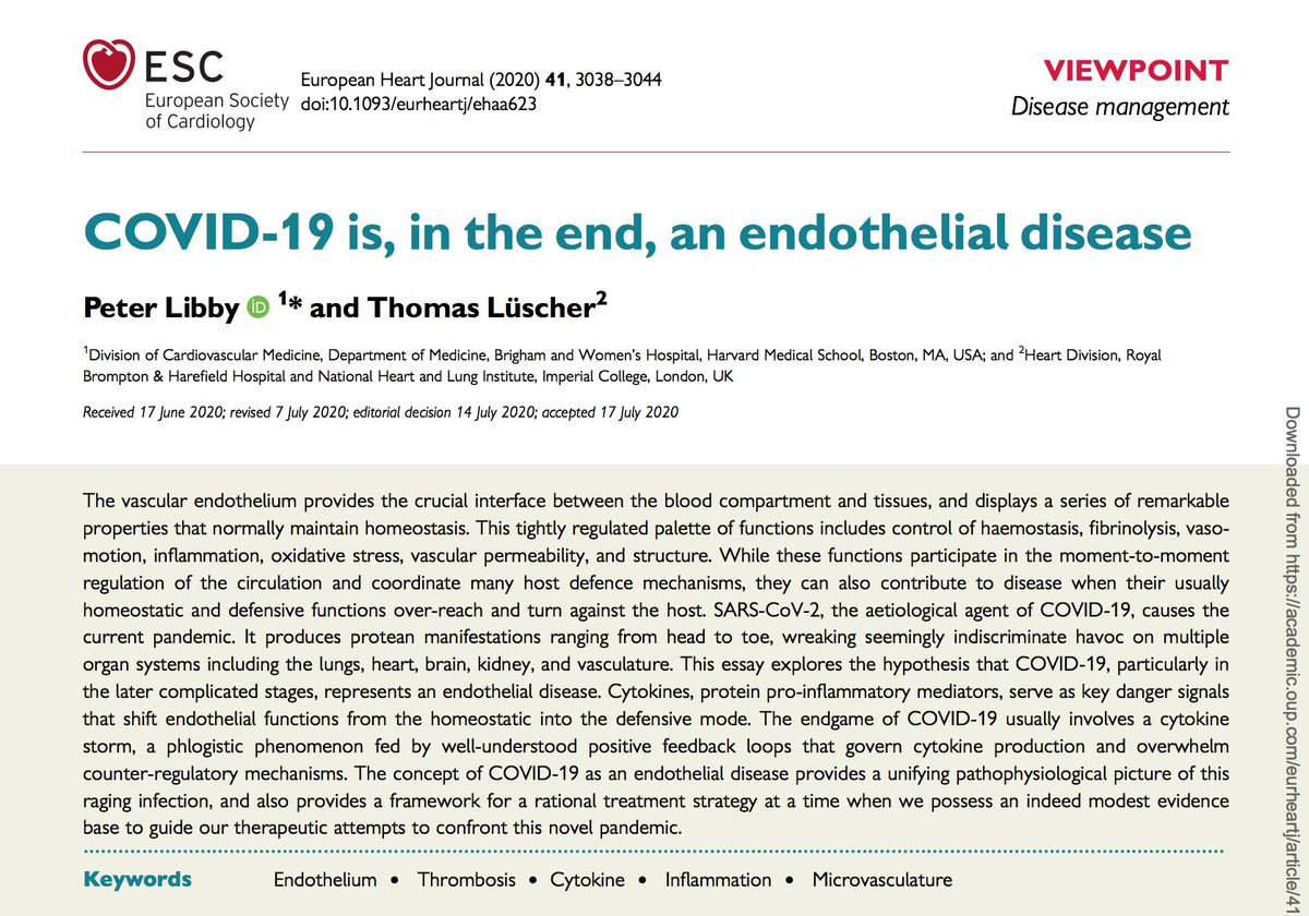 VSLanziotti's tweet photo. Thanks @areinamo21 for sharing this very interesting paper published @ESC_Journals, approaching the concept of #COVID19 as an endothelial disease.Great infographics about endothelial damage &amp; endothelial cell as a key target of cytokines. #PedsICU #MedEd 

https://t.co/5ZoIm7voEl https://t.co/FZhcqZCyyX