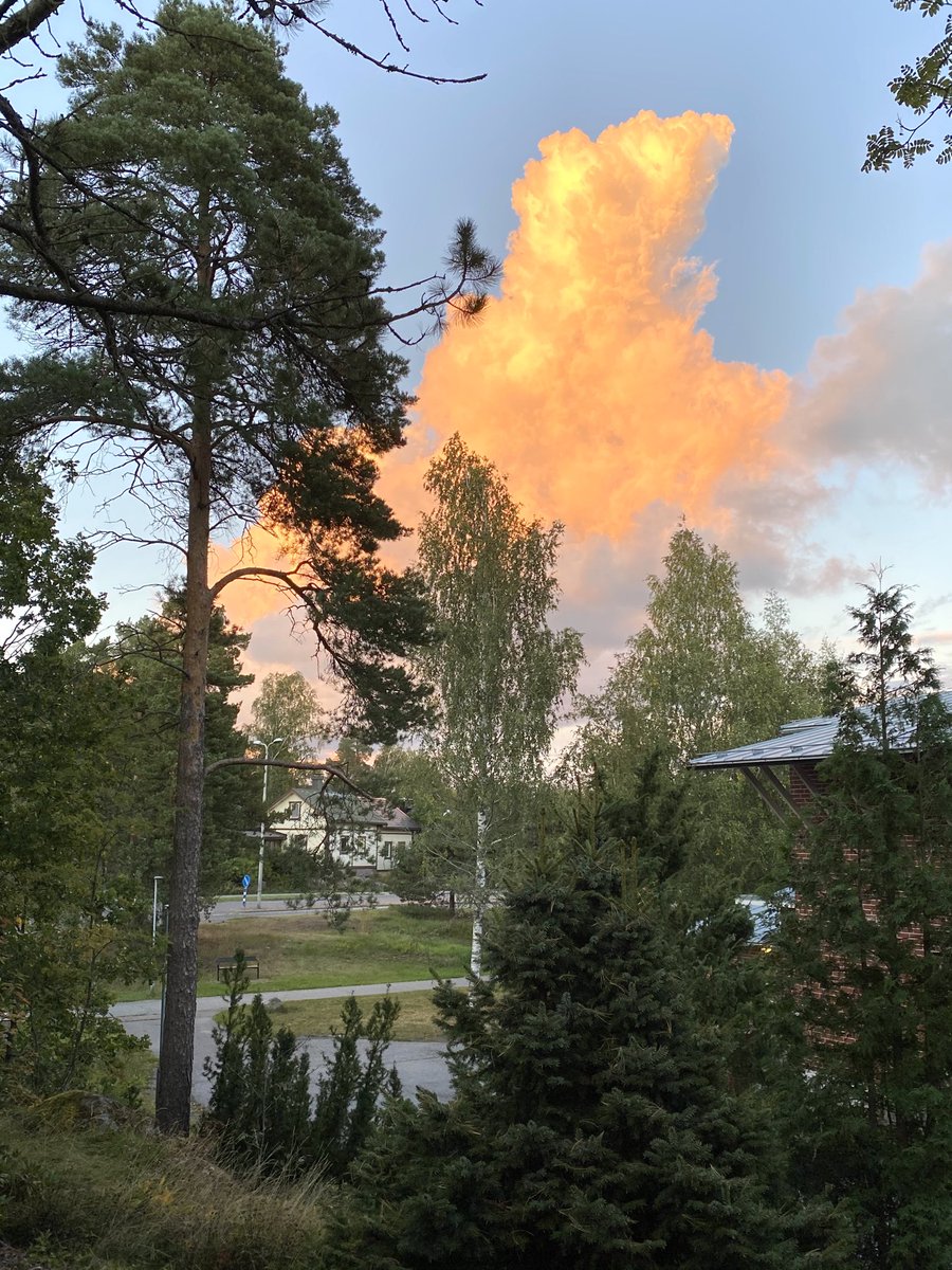 LaihoKuutamo6's tweet image. Erikoisen värinen #pilvi idän taivaalla klo 20:00.