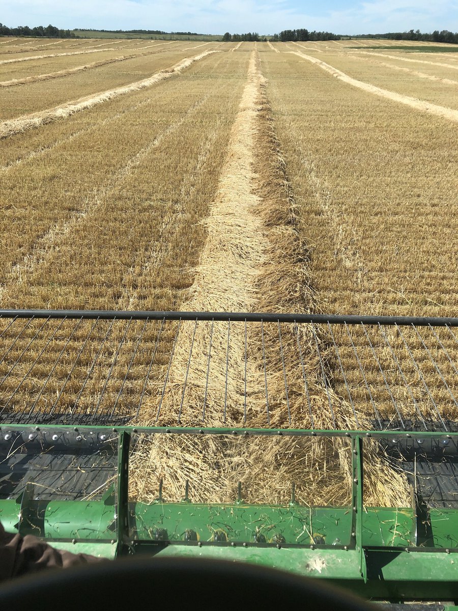 kenzieseeds's tweet photo. To all the farmers out there battling Mother Nature, we wish you a safe long weekend. We will be closed Monday for the holiday. Happy harvesting! https://t.co/JzogVVtw4Y