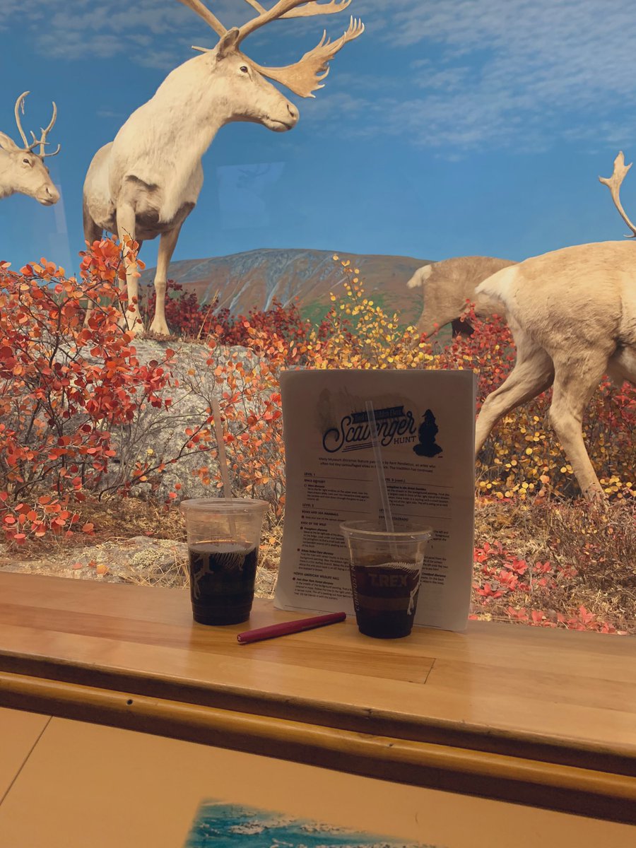 CO_coffee1's tweet photo. Some @CodaCoffee at the Denver Museum today. They have a great nitro! Nice to walk around and find some #elves while you enjoy your #coffee. #coffeeCO #local  @DenverMuseumNS https://t.co/TQy5Hqi0gb