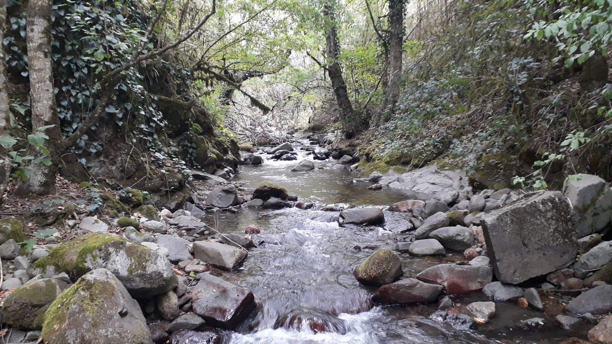 Bugün bu derenin kenarında  oturup çayımı yudumladım. Herşey o kadar güzeldiki sanki başka bir dünyada yaşıyordum! Ne mutlu doğayı anlayıp ona saygı gösterene ve ondan ders çıkartana.