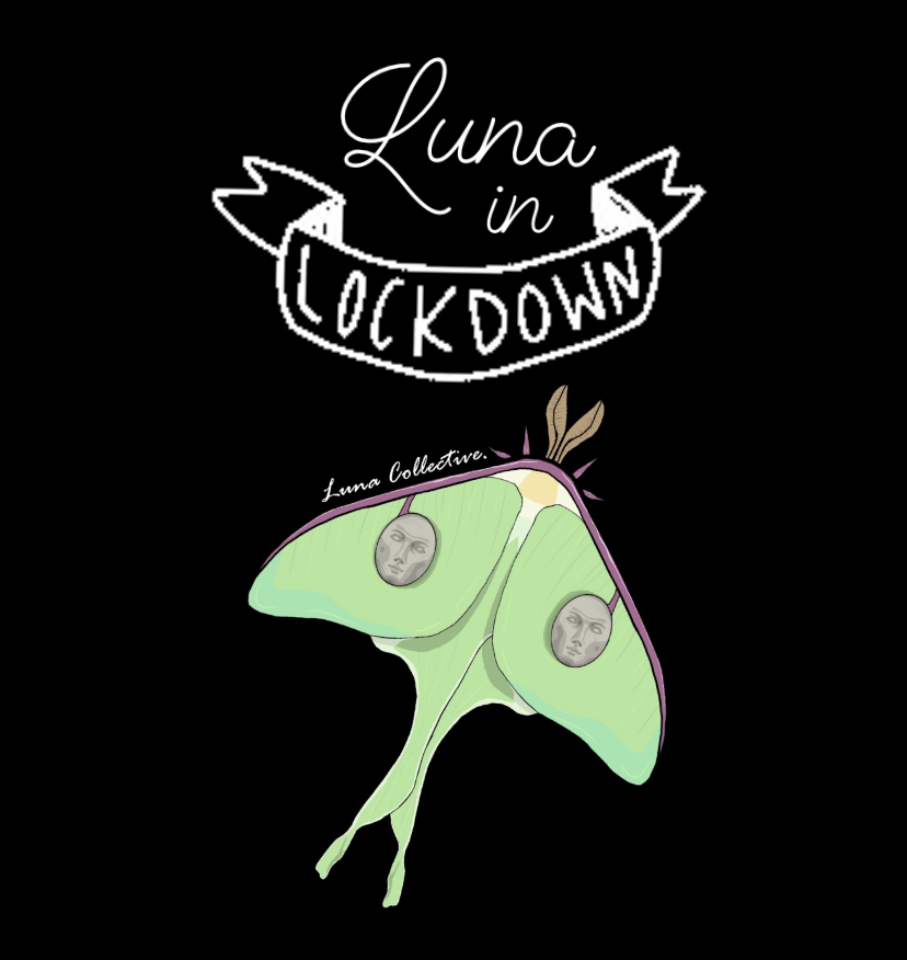 Luna Collective tweet media