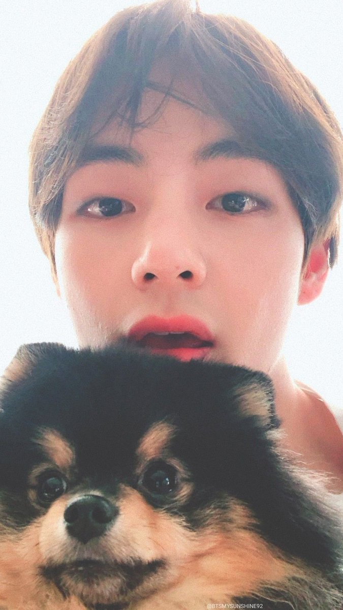 bts_sinhakook's tweet photo. Happy birthday baby Tannie 
Army's love you loads bby 🐶💖
 #HappyBirthdayYeontan #Tannie #RockstarTannie #YeontanSelcaDay #3YearsWithYeontan https://t.co/hTbBuQdwHU