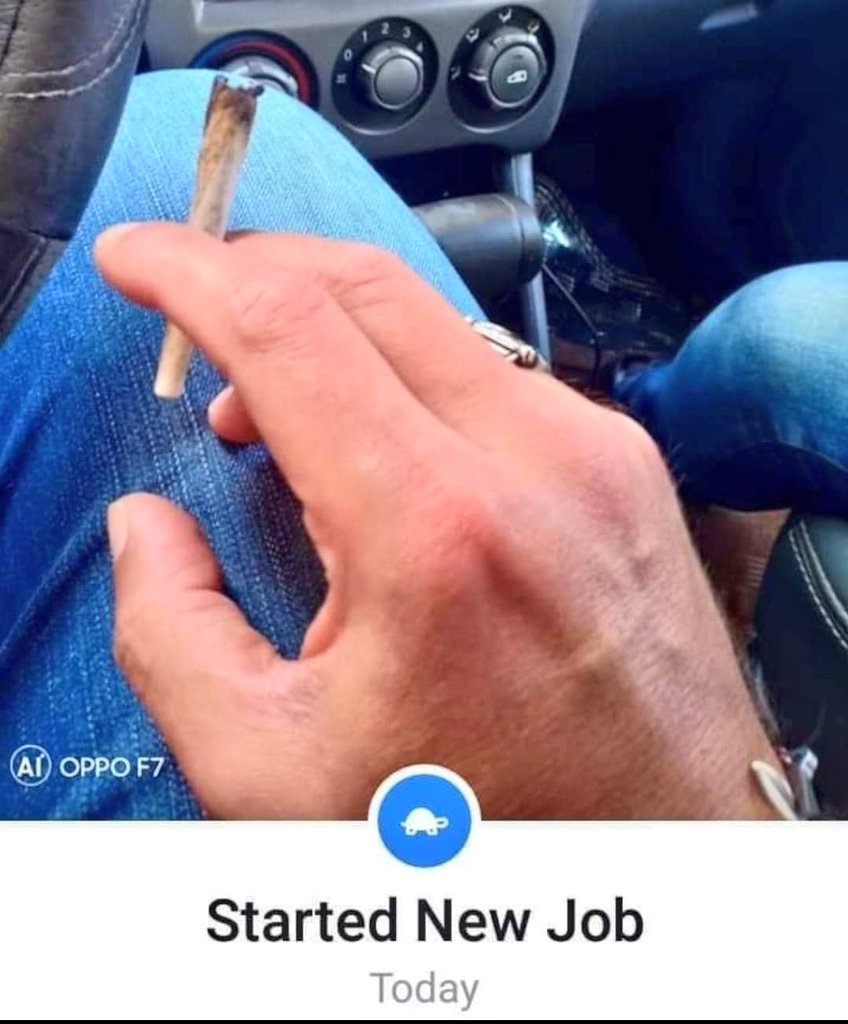 3skariii's tweet photo. اهو اى وظيفه 😅 https://t.co/XkK3XAk9R1