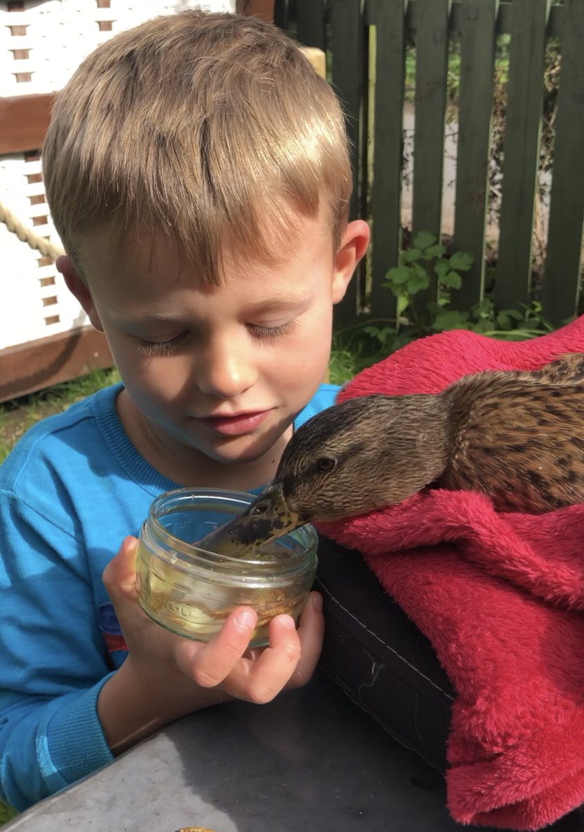 CreatorOfOpps's tweet photo. Thanks to everyone in Heswall that made my friend and my client Quackers feel welcome yesterday. We met lots of new friends and made a lot of people happy. We worked on her book and had an adventure. #mykindofweekend #BeKind #SpreadLove #wirral #Heswall #theadventuresofquackers https://t.co/UDHtIl5TcD