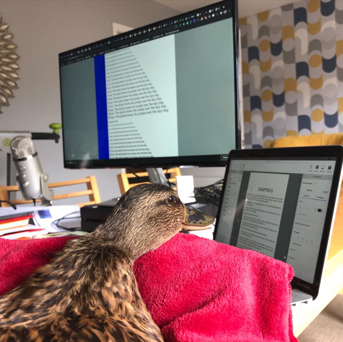 CreatorOfOpps's tweet photo. Thanks to everyone in Heswall that made my friend and my client Quackers feel welcome yesterday. We met lots of new friends and made a lot of people happy. We worked on her book and had an adventure. #mykindofweekend #BeKind #SpreadLove #wirral #Heswall #theadventuresofquackers https://t.co/UDHtIl5TcD