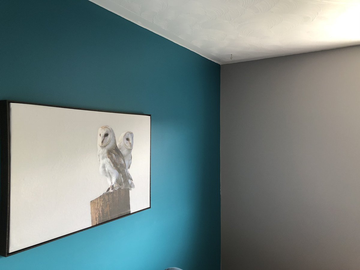 1ProudCdn's tweet image. I think this #owl canvass I bought #Bouclair’s yesterday really accentuates the old #blue wall &amp;amp; the #new cathedral #grey walls.

I hate how previous owner did not paint their blue all the way to the corner. My #perfectionism is picking up on that, lmao. I’ll fix it eventually.