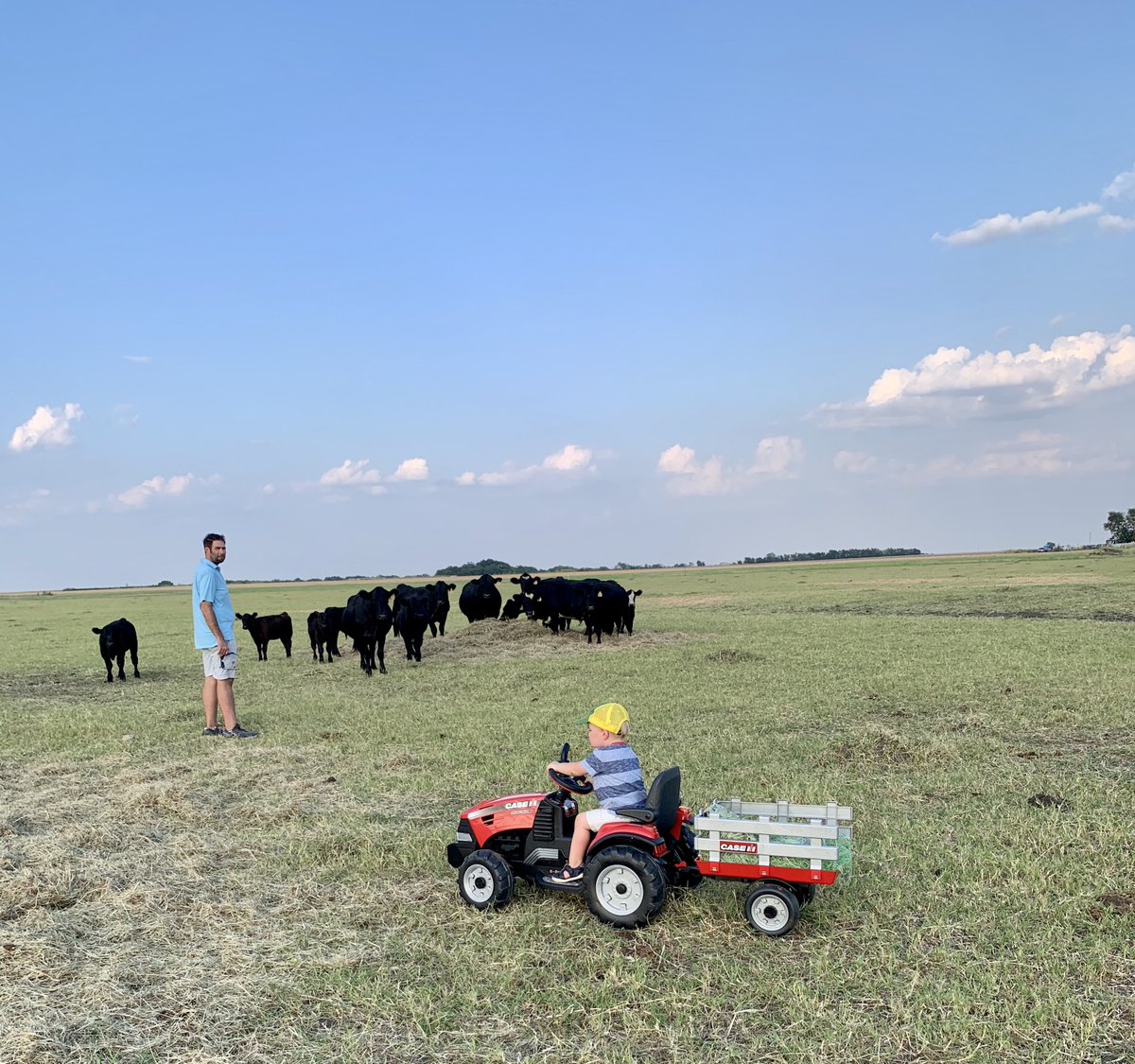 TexasFarmBureau's tweet photo. Farm kid life is the best life. No doubt about it! And those fun memories also lead to teachable moments. Read more on #TxTableTop: https://t.co/nqzdCPJsHf
Photo by Chelsea Davis https://t.co/oUznTraOgc