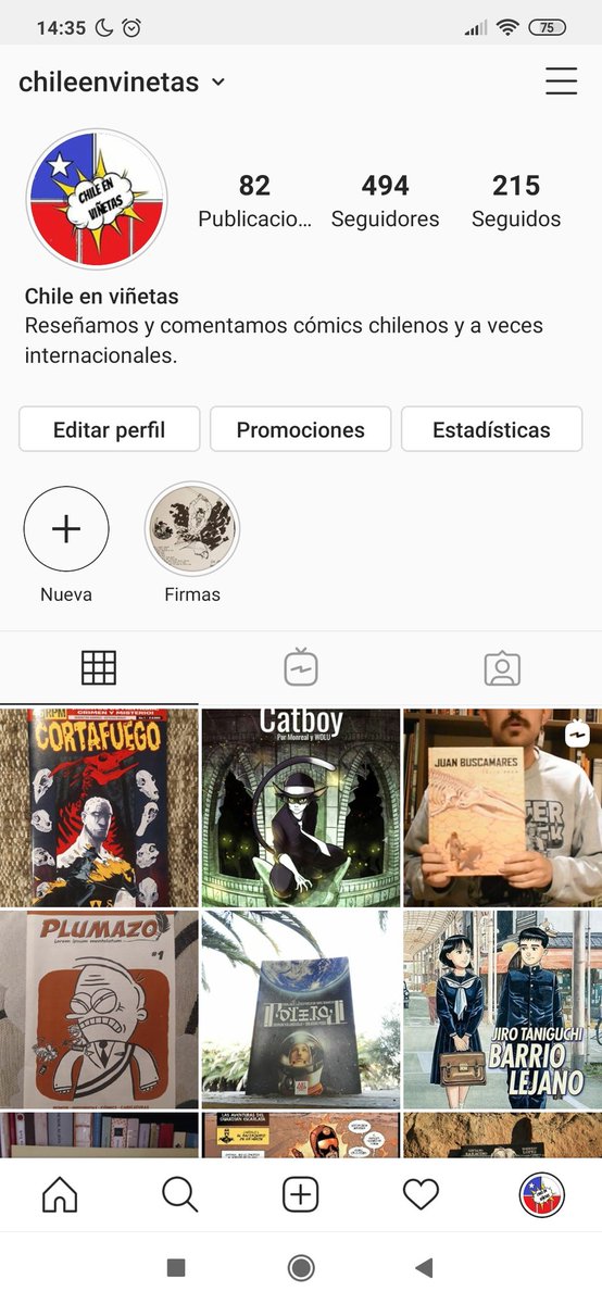 Chile En Viñetas tweet media