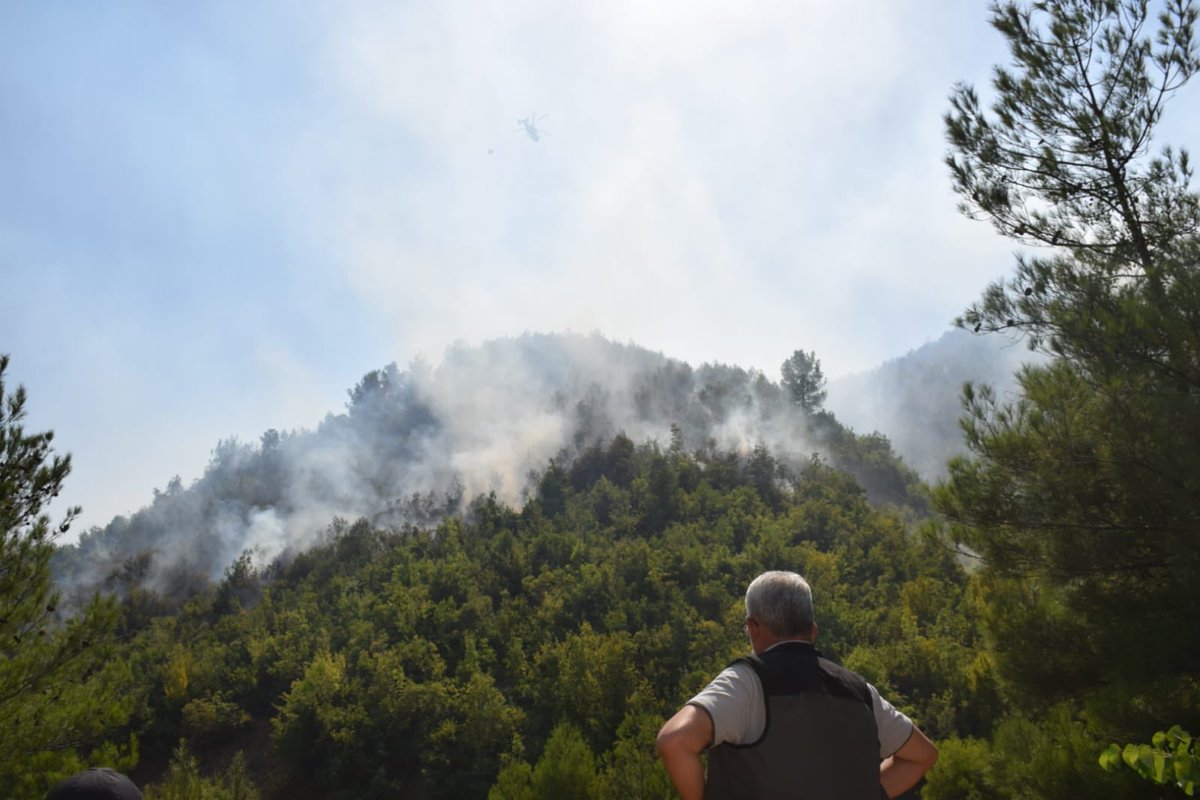 BekirKARACABEY_'s tweet photo. Bugün de #Hatay #Samandağ’dayız. Meydana gelen orman yangınına ekibimizle birlikte tek bir ağaç dahi zarar görmesin diye bütün imkanlarımızla müdahale ediyoruz. 

Bu zorlu mücadelede #yeşilvatan diyerek canını dişine takan bütün mesai arkadaşlarıma kolaylıklar diliyorum. https://t.co/z8HG9ZUC51