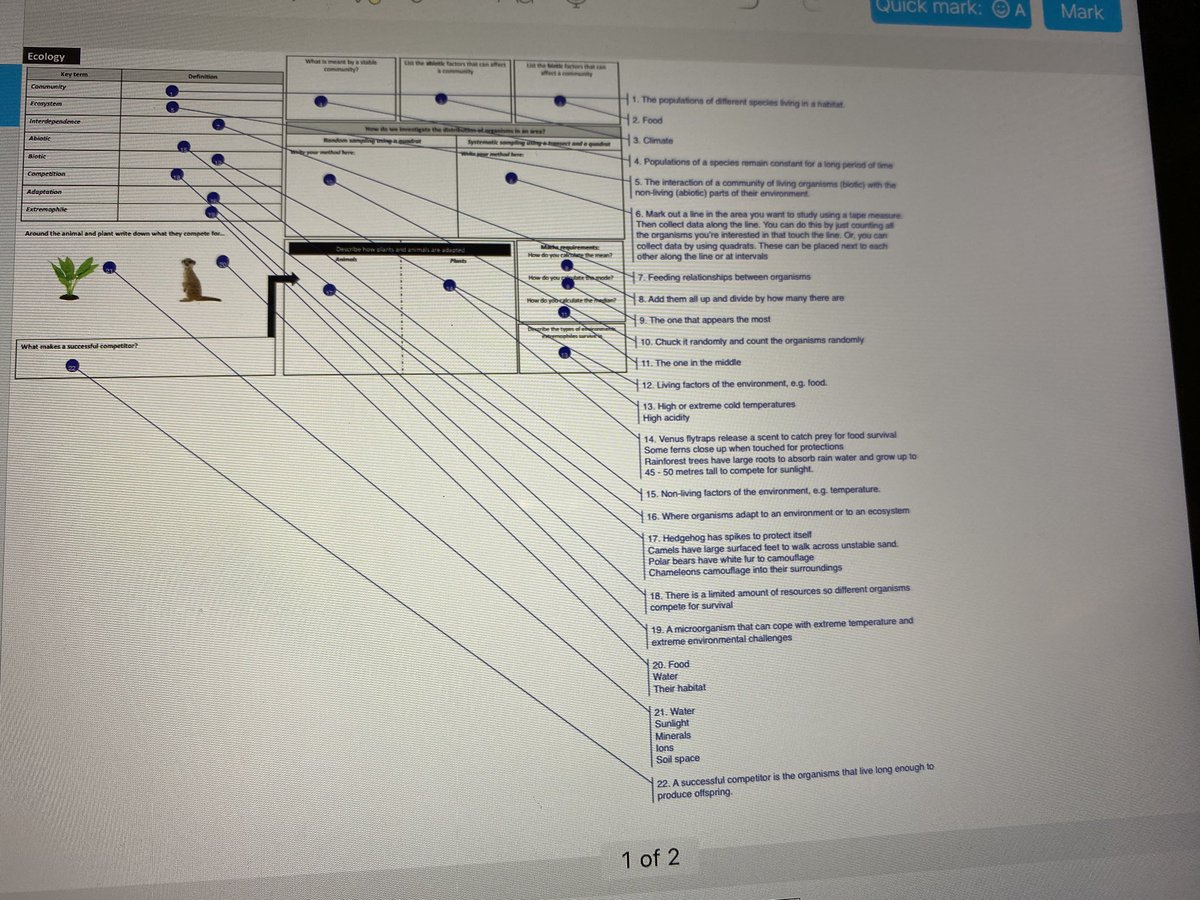 lizdudley's tweet image. Seriously like this @sparkjarapp !!!!