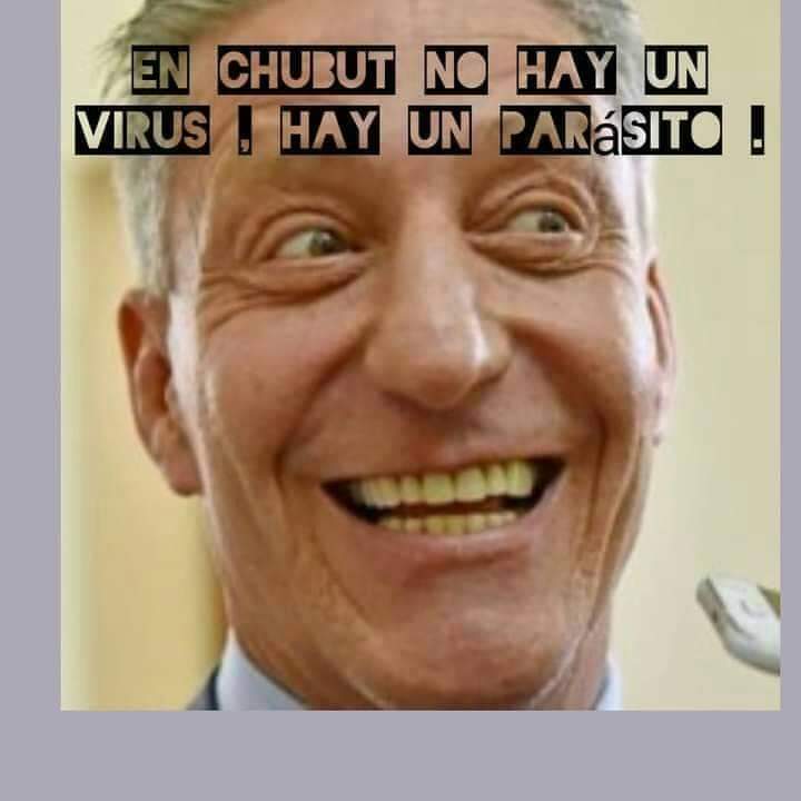 hetor alegre tweet media