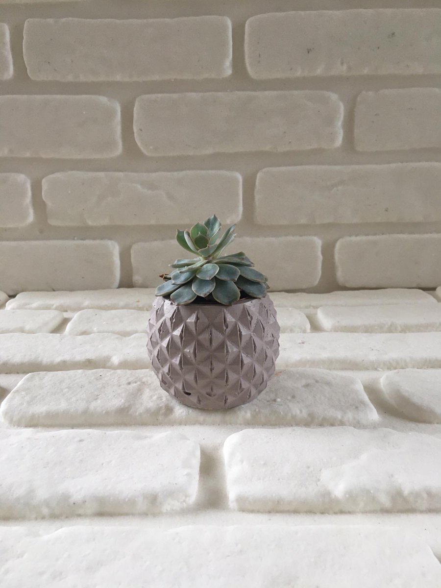 burleart's tweet photo. KAMPANYADA SON SAATLER!

🎁 Bugüne özel “SUNDAY“ kodu ile 10 TL’lik indirim kuponu fırsatını kaçırma!

📌Yapman gereken tek şey, https://t.co/H684Y86ekG sayfasına girerek sepete ürün eklemek ve ödeme sayfasındaki indirim kuponu alanına “SUNDAY“ yazmak. https://t.co/dbrND1xoXd