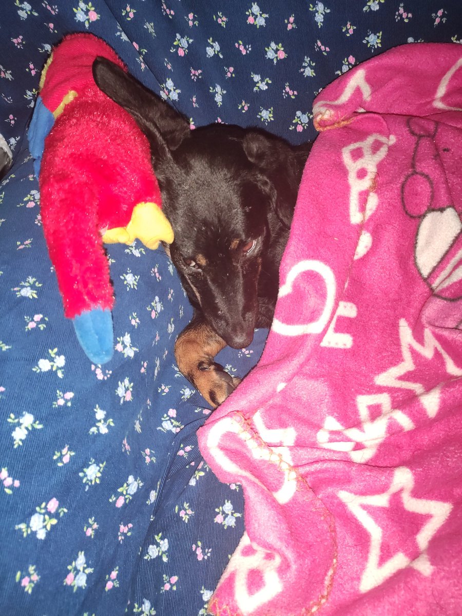 miriammimitos's tweet photo. Mood de domingo #hoperules #FelizDomingo  #diarelax https://t.co/isdcQQE6Tg