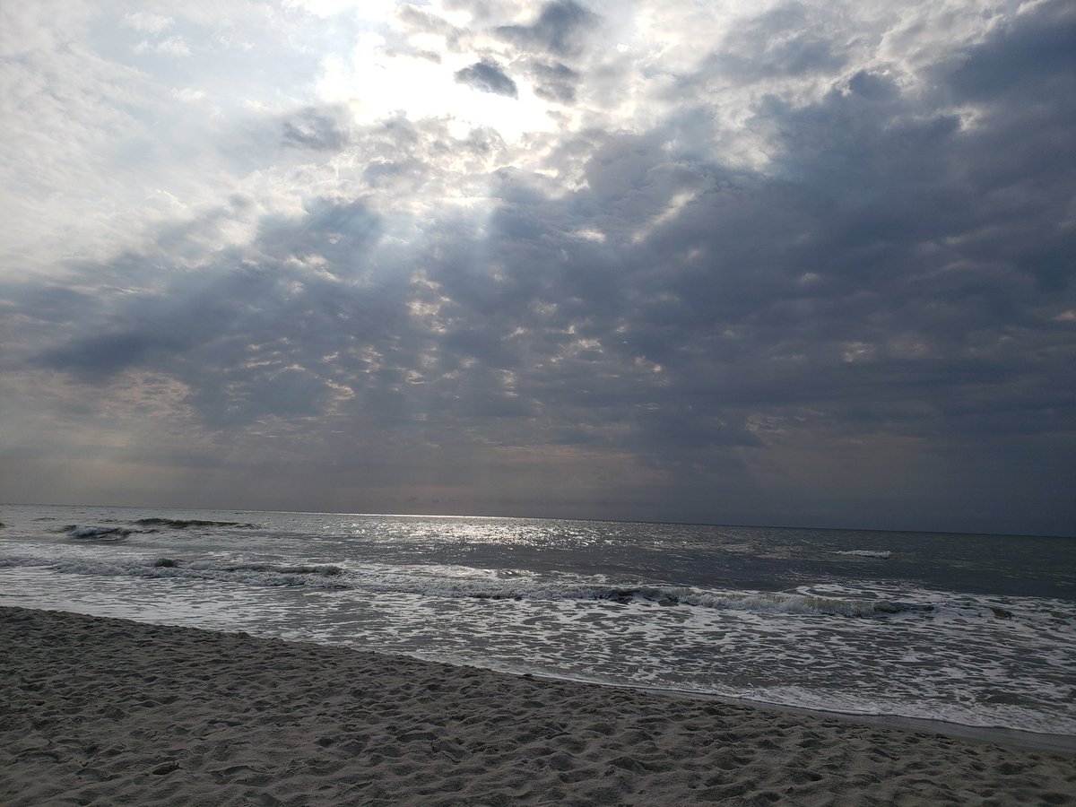 iechris74's tweet photo. Starting my day at Huntington Beach @SC_State_Parks #scstateparks #ultimateoutsider #discoversc #SaltLife https://t.co/V637spETNG