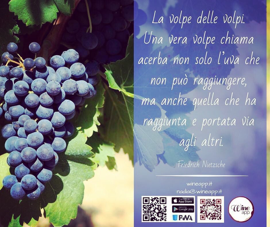 nadiawineapp's tweet photo. Buona domenica a tutti con il miglior vino🍷🥂#applicazionewineapp #insiemesivince https://t.co/Dp1sB9AS19
