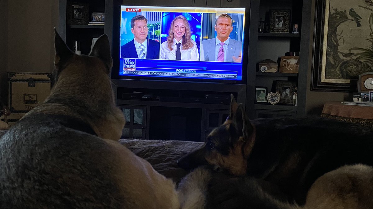 curly_tea's tweet photo. @PeteHegseth we emailed Sarge &amp; Bella watching you w/us this morning. David &amp; I enjoy your show every morning! —Tammy https://t.co/AXpBQ3j2lV