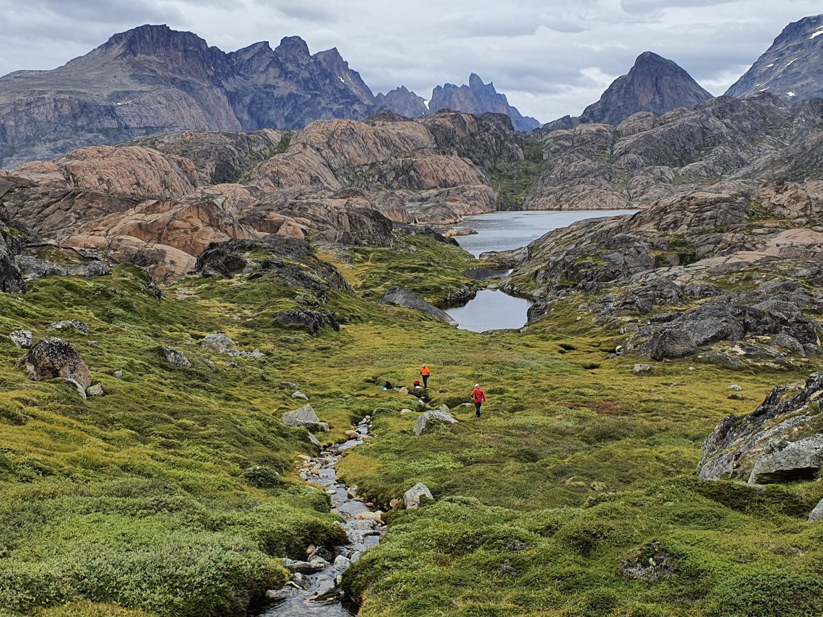 80 Mile PLC tweet media