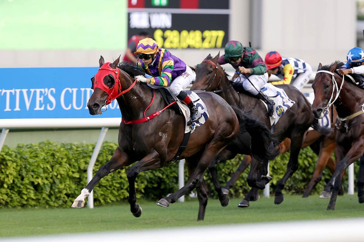 HKJC_Racing's tweet photo. Hong Kong Sprint beckons as Perfect Match takes the HKSAR Chief Executive's Cup, while history repeats as David Hayes takes home a debut double. #SeasonOpener #HKracing 

@SchusterDeclan reports. 

Read here 👉 https://t.co/hlPSwb2lSI https://t.co/SILbhHxybV