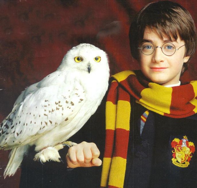 Harry_Potter_TM's tweet photo. 6 de septiembre de 1991: Tal día como hoy, Hedwig le entrega su primera carta a Harry. Es de Hagrid, invitándole a visitarle en su cabaña. https://t.co/lMjSy27wPv