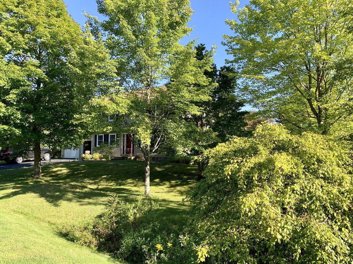 DrBrault's tweet photo. Another gorgeous morning #Swifties! It’s been so good for us to get away #folklore style! I haven’t slept this good in weeks. Rest and rejuvenation for the soul. ☺️ Can’t beat the weather, the views and good friends. Happy #SocialDistanceSunday @taylornation13!! 🌲⛰🌳 https://t.co/Jx6T7VFhPt