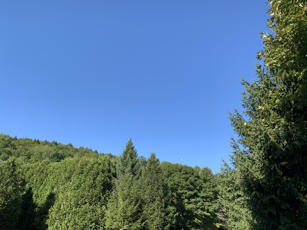 DrBrault's tweet photo. Another gorgeous morning #Swifties! It’s been so good for us to get away #folklore style! I haven’t slept this good in weeks. Rest and rejuvenation for the soul. ☺️ Can’t beat the weather, the views and good friends. Happy #SocialDistanceSunday @taylornation13!! 🌲⛰🌳 https://t.co/Jx6T7VFhPt