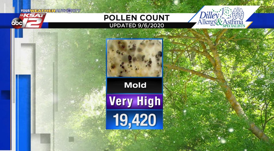 KSATSarahSpivey's tweet photo. 🤧Sunday's Pollen Count🤧

Yikes! It just keeps getting worse...mold is even higher than it was yesterday thanks to recent rainfall. #KSATweather https://t.co/iEHSUzL2Ya