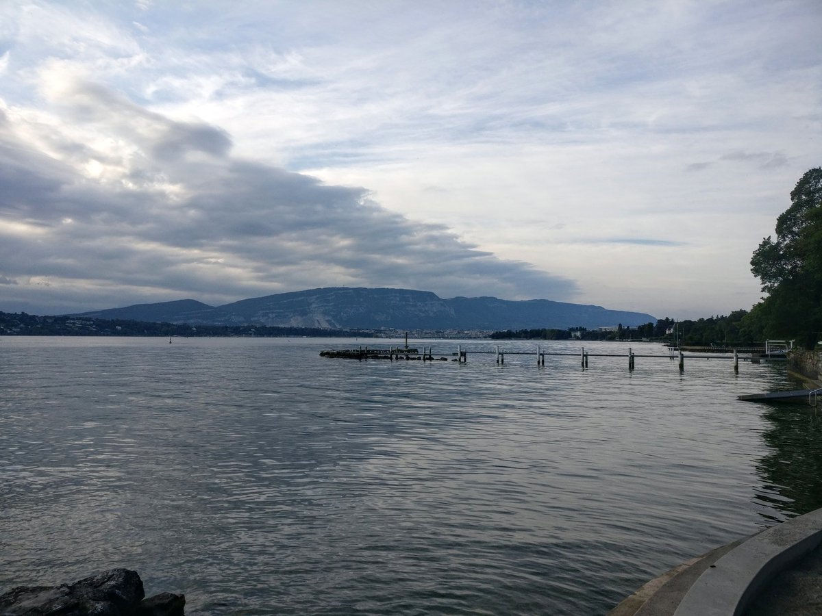 aureaquartet's tweet photo. Dreamy concert by Lake Geneva this morning. Stunning views &amp; we made music with the birds! 🎶
We've had such a wonderful week, rehearsing and performing together again - quarantine when we get back to the UK will be worth it! 💙🎻🏔️🇨🇭
#vivelamusique #hope #chambermusic #covid https://t.co/CWEKoDoZYV