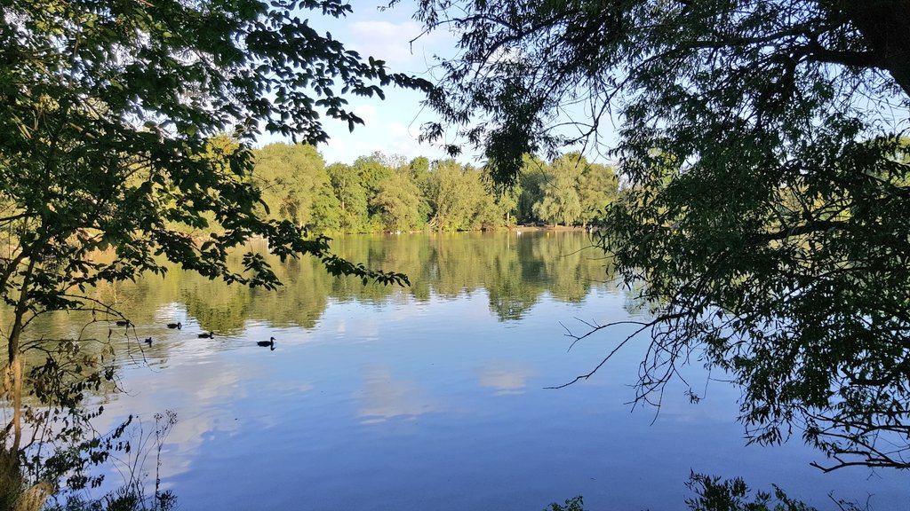 Shira464's tweet photo. Mein NRW 😍
Abtsküche-Teich 
#MeinNRW 
#Ruhrgebiet #Ruhrpott 
#Abtsküche https://t.co/HqDuDyNJoM