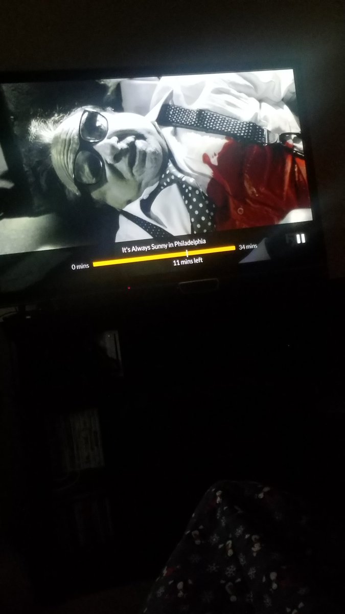 ingouldwetrust's tweet photo. My 6 year old just asked me "why are you watching a show about diarrhea poison?" @alwayssunny https://t.co/tfy2cqQxq3