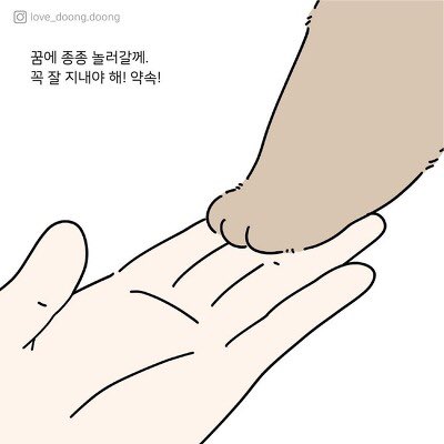 JAYME0214's tweet photo. 우리집 고양이도 이제 나이가 꽤 많아서 항상 마음 한구석에 헤어짐에 대한 두려움이 자리잡고 있는데... 루비 소식에 눈물이 멈추지 않는다 ㅠㅠ 언젠가 다시 만날 수 있을테니까 태용이가 너무 슬퍼하지 않았으면 좋겠다 ㅠㅠ https://t.co/1usgw1SM50