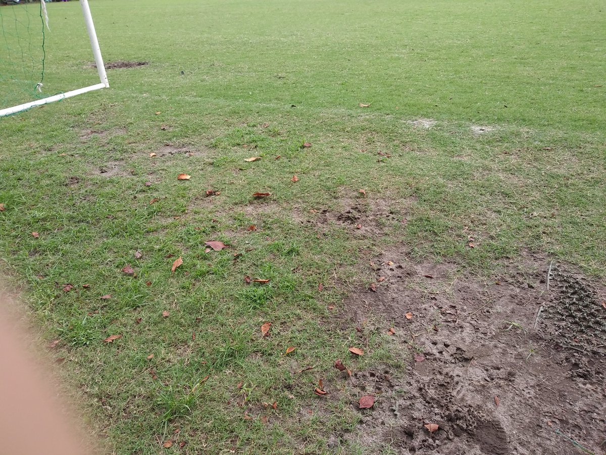 Avainsana 個人参加サッカー Twitterissa Avainsana 個人参加サッカー Twitterissa