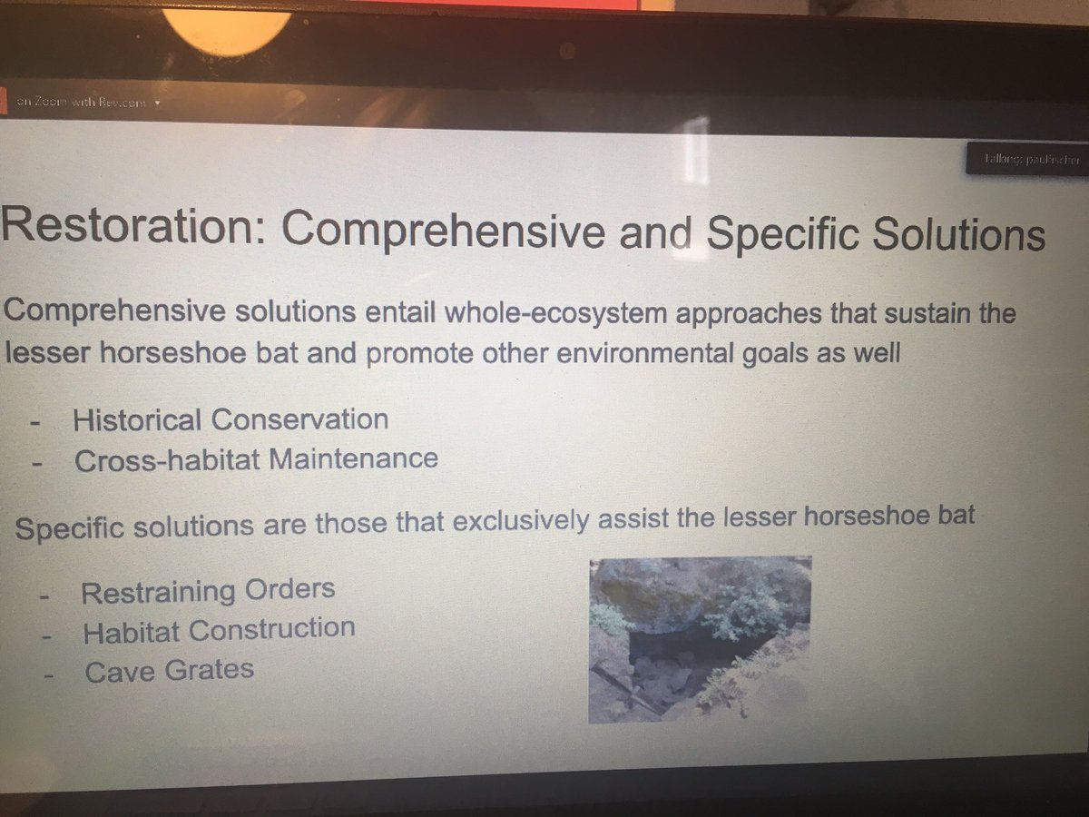 _BCT_'s tweet photo. Populations of lesser horseshoe bats have dramatically decreased mainly because of pesticide use and land change. Some solutions to restore populations include historical conservation, cross habitat management, restraint orders, habitat construction and cave grates   #NatBatConf https://t.co/9dnyfwOKBa