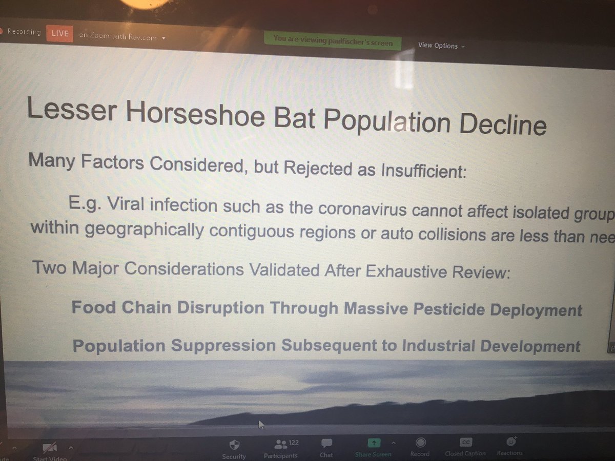_BCT_'s tweet photo. Populations of lesser horseshoe bats have dramatically decreased mainly because of pesticide use and land change. Some solutions to restore populations include historical conservation, cross habitat management, restraint orders, habitat construction and cave grates   #NatBatConf https://t.co/9dnyfwOKBa
