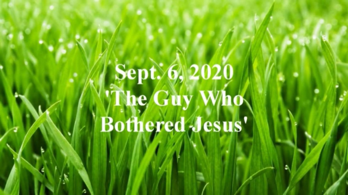 Welcome to worship at Christ Lutheran Church!

For Contemporary click here: 
youtu.be/GuiNGINbRmk

For Traditional click here: 
youtu.be/pLyy6eHtwzg