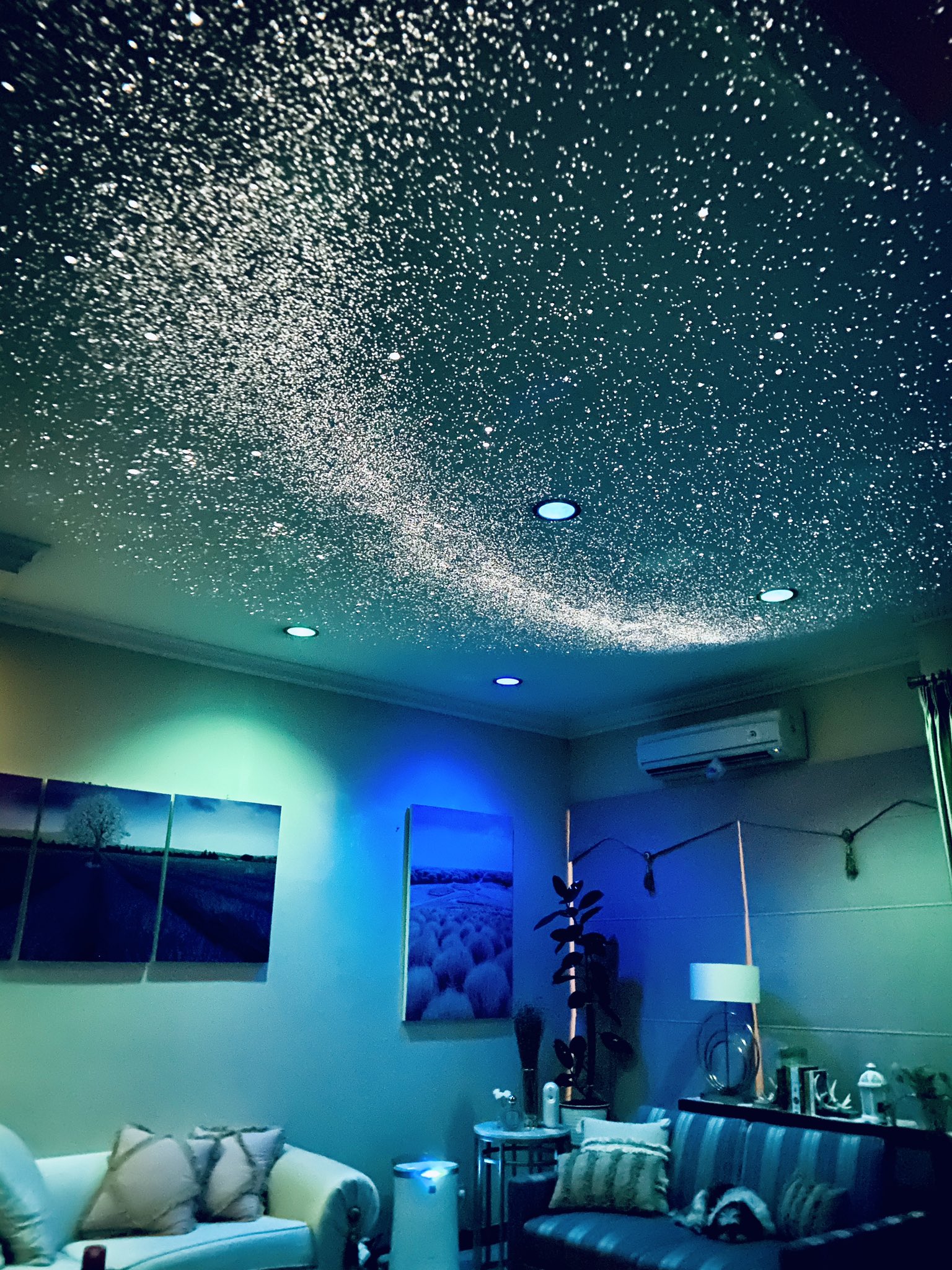 Sega homestar flux. Sega homestar planetarium flux. Homestar flux planetarium. Homestar flux planetarium. домашний планетарий star projector p1ufo.