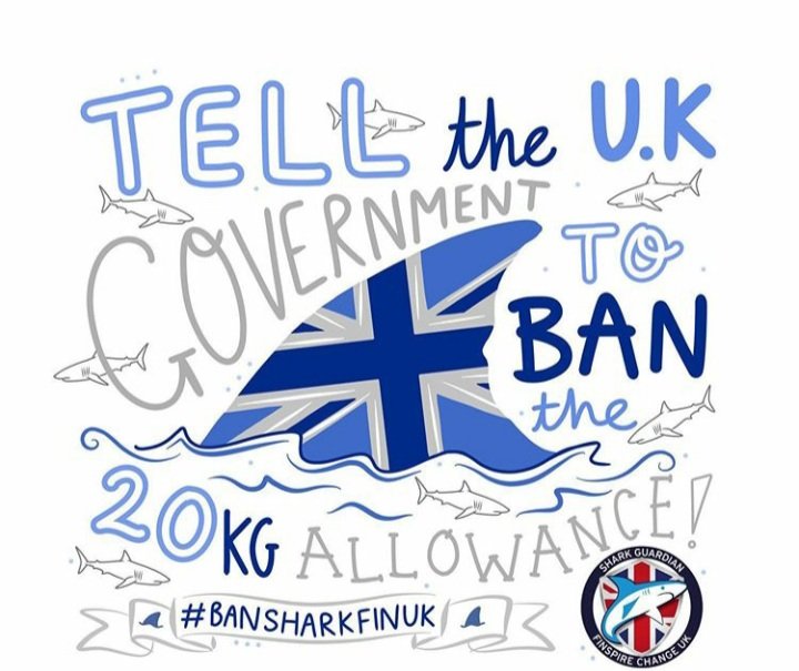 Birchie_S tweet media