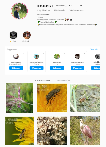 Numéro 29 : Loan Photos aka  @LLoutre2 est un photographe animalier qui en plus de prendre en photo les animaux et insectes qui nous entourent, nous fournis de nombreuses anecdotes à leur sujet sur son Instagram : @/loanphoto34