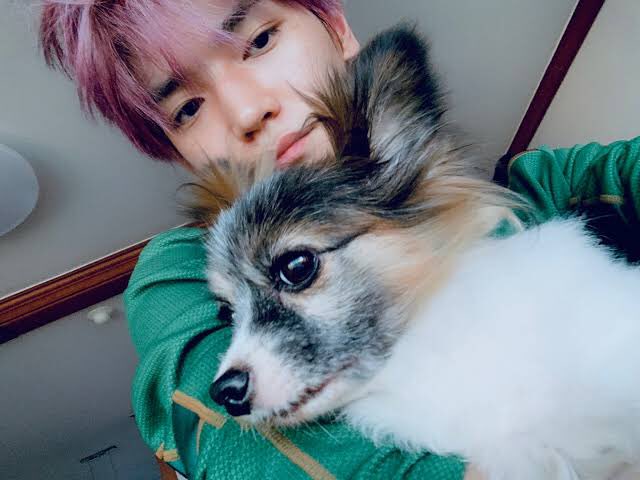 rookijeu's tweet photo. heaven is calling the angel to go back to their place, rest in peace ruby thank you so much for accompanying taeyong, being his bestest friend and familyㅠㅠ and stay strong taeyongㅠㅠ 💚 @NCTsmtown https://t.co/cfl4Iuq2go